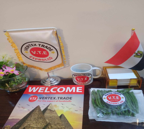 Export Fresh Vegtables