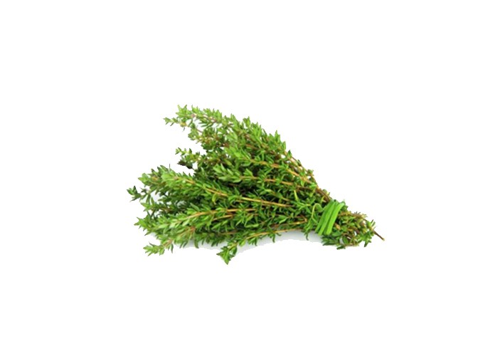Fresh thyme