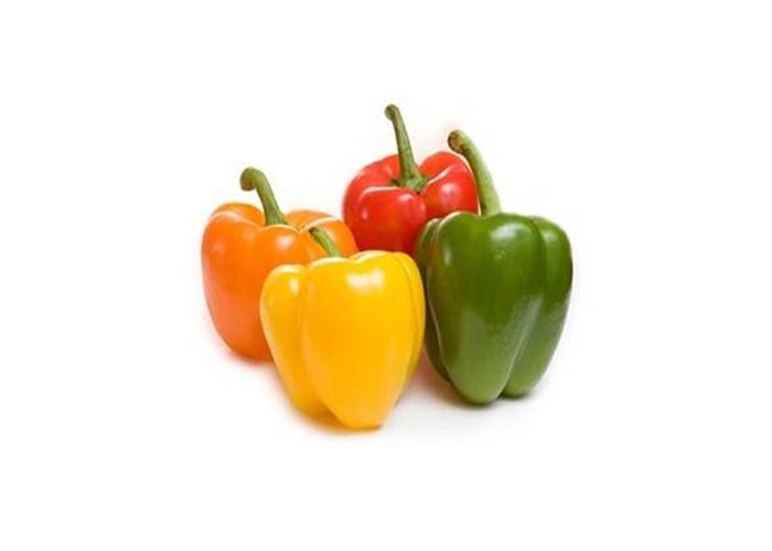 Pepper “capsicum”