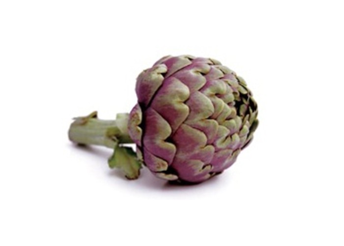 Fresh Artichoke